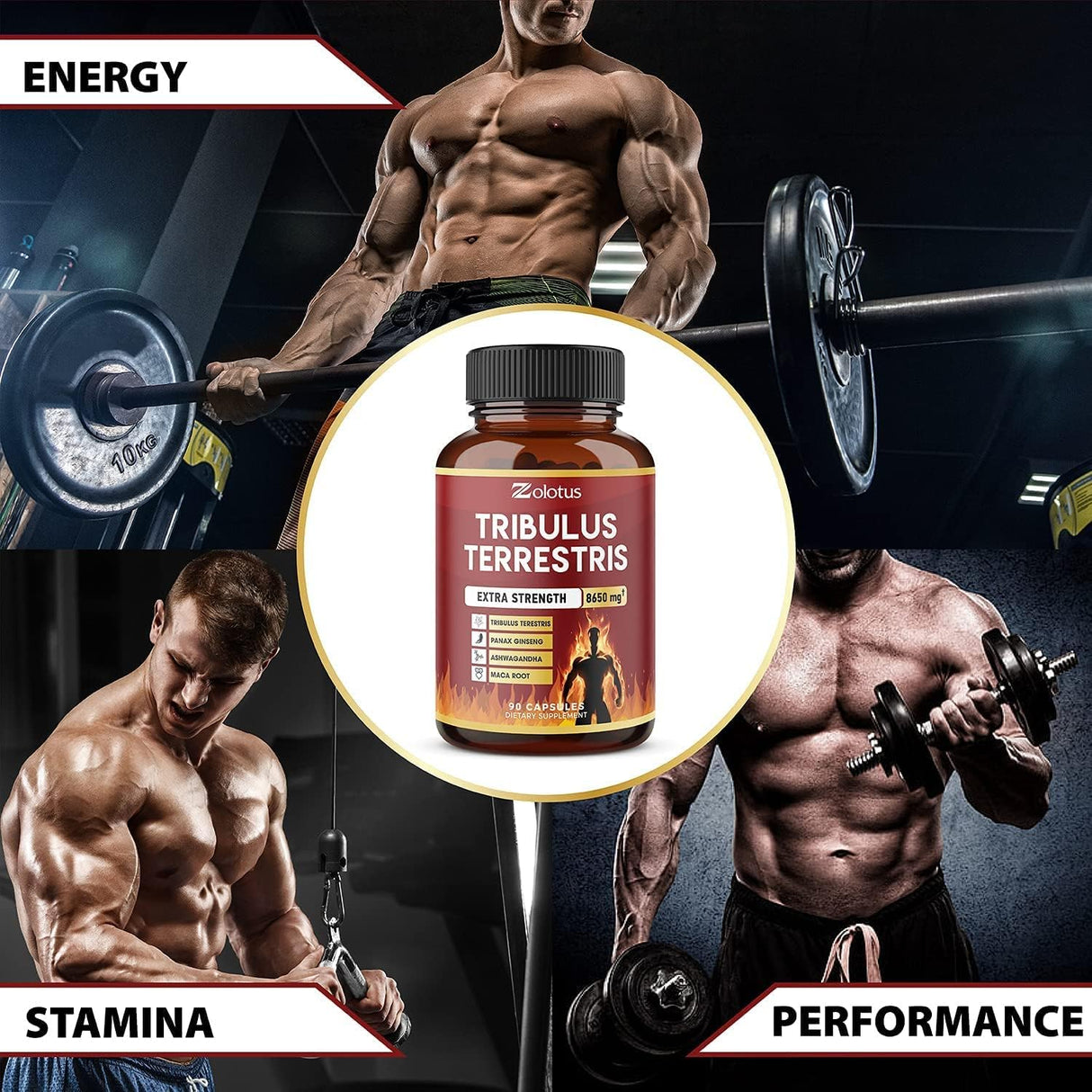 Suplementos Alimenticios Aumenta la energía