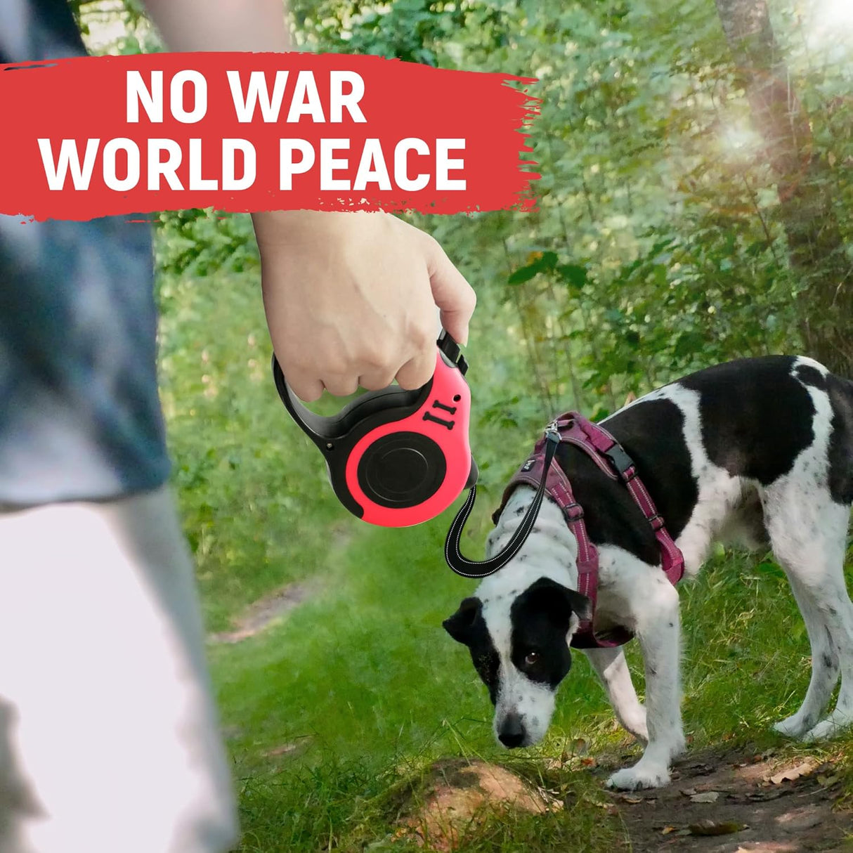 Correa Retráctil Automática para Perros con Bol y Dispensador