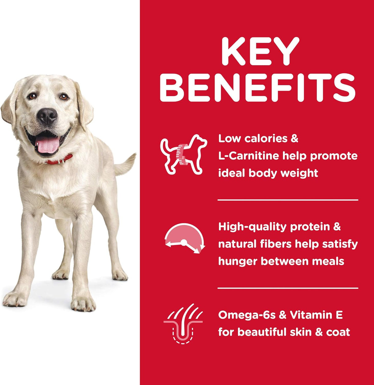 Alimento para Perros de pollo y receta de cebada