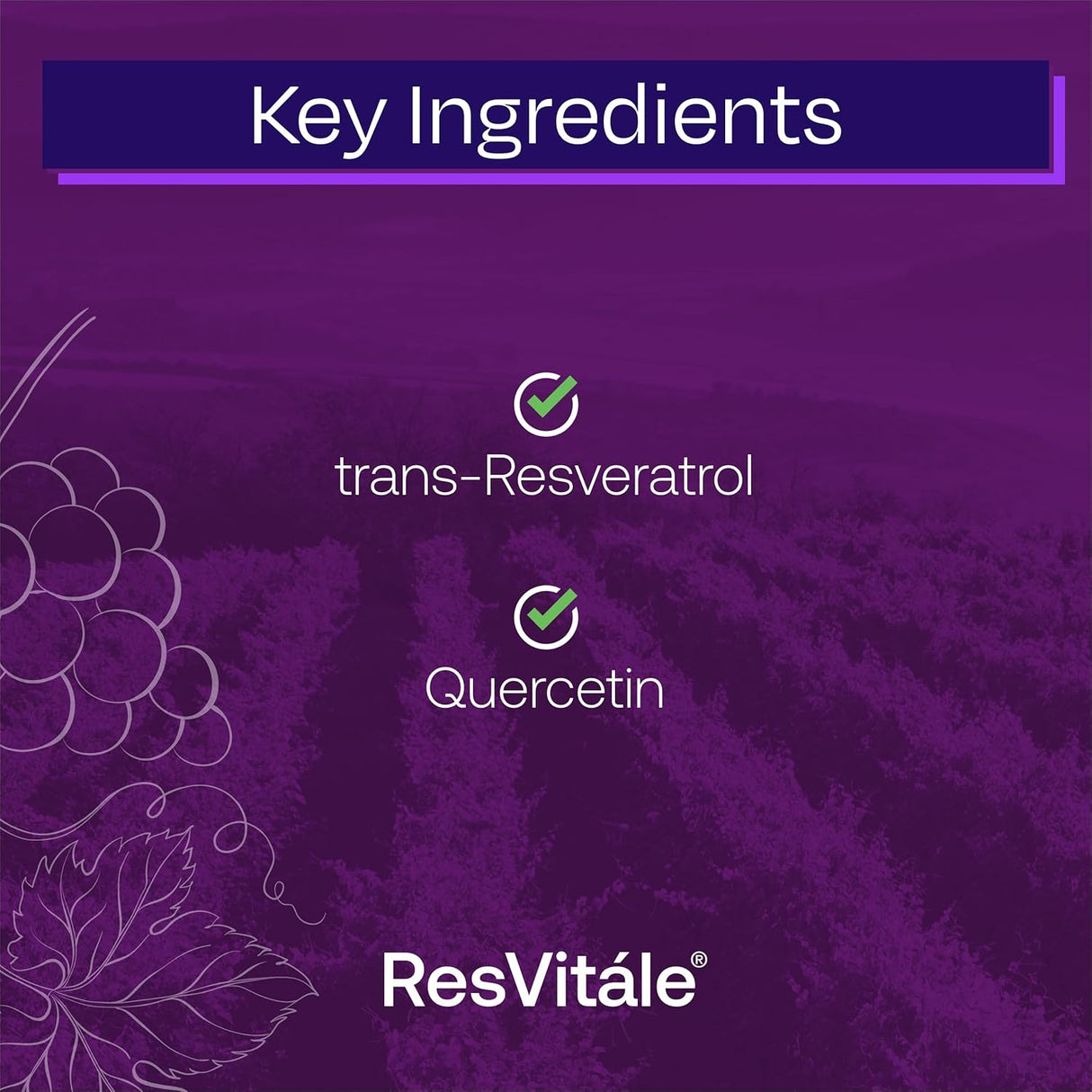 Suplemento ResVitále Resveratrol 500 mg 60 cápsula vegetal