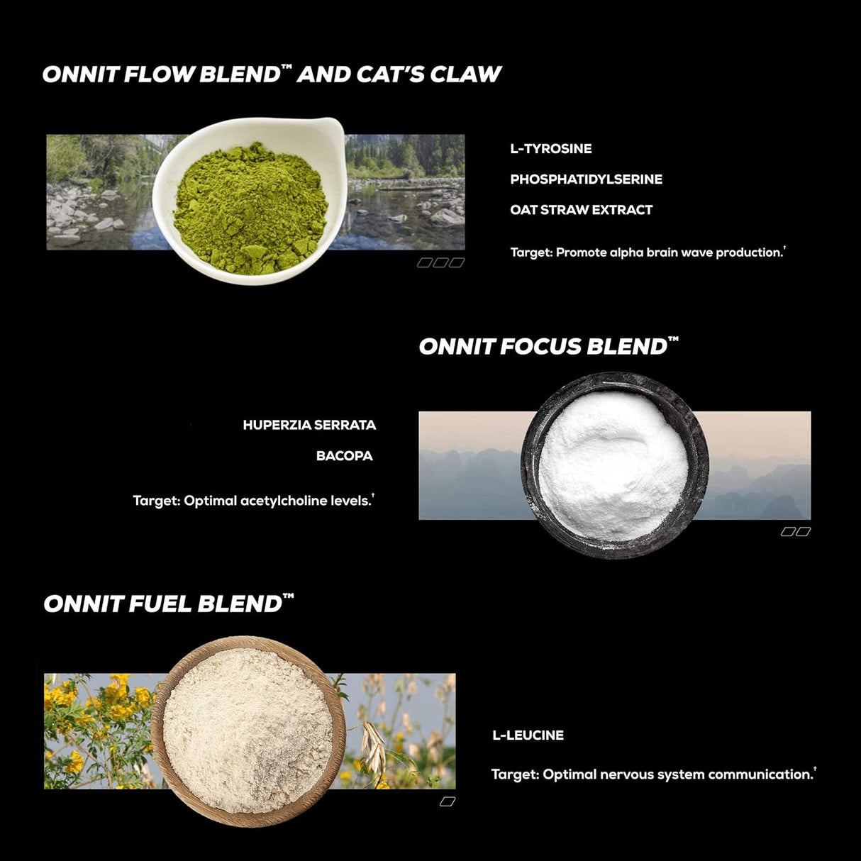 Suplemento Nootrópico para Enfoque, Concentración y Memoria