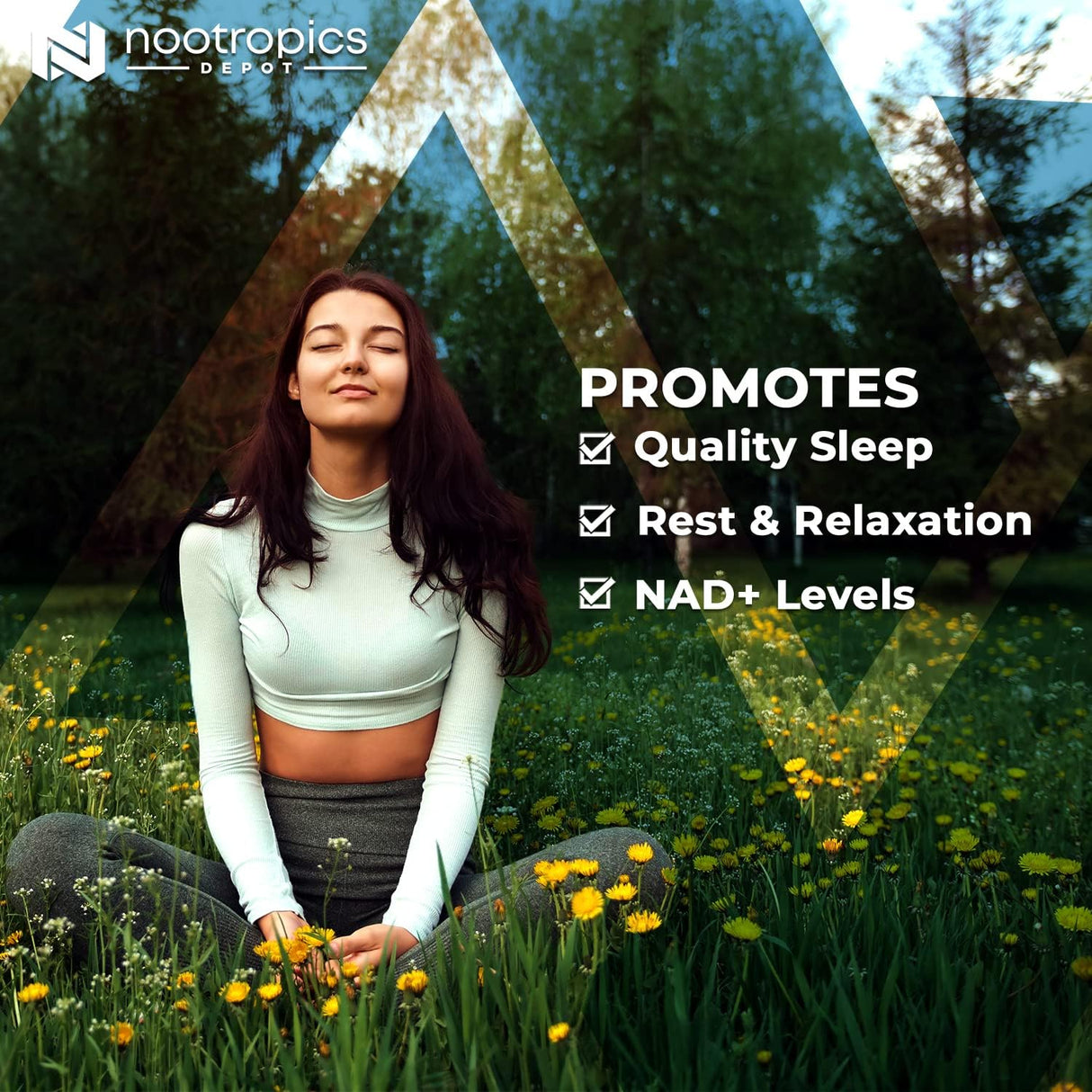 Suplemento Nootropics Depot Cápsulas de apigenina 200 mg