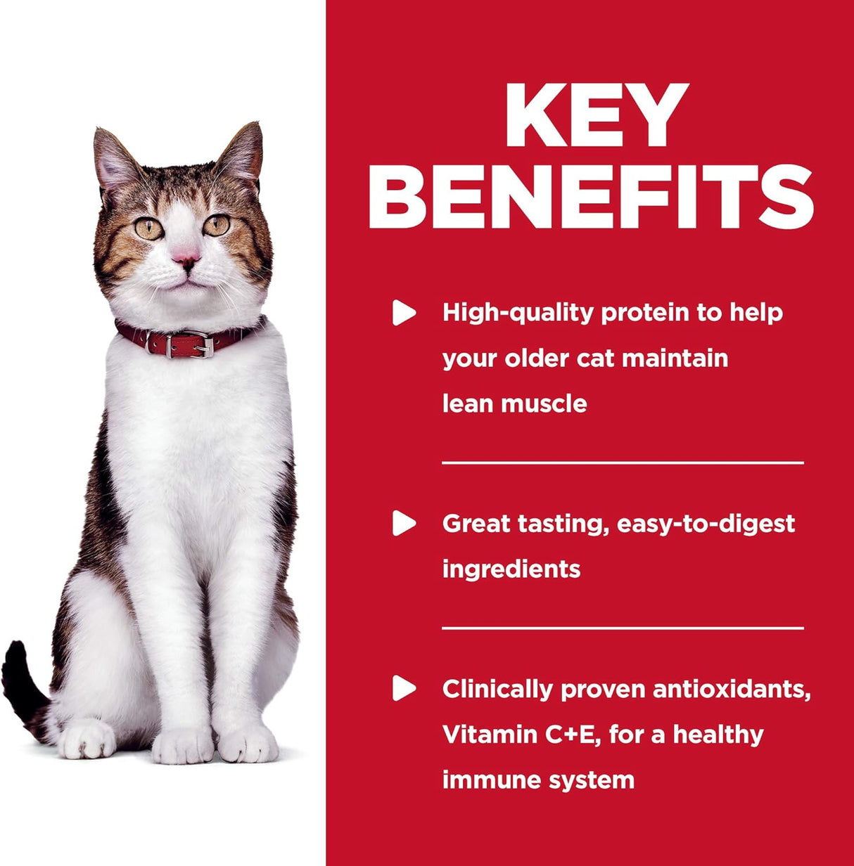 Alimento Bolsa de comida húmeda para gatos paquete de 24