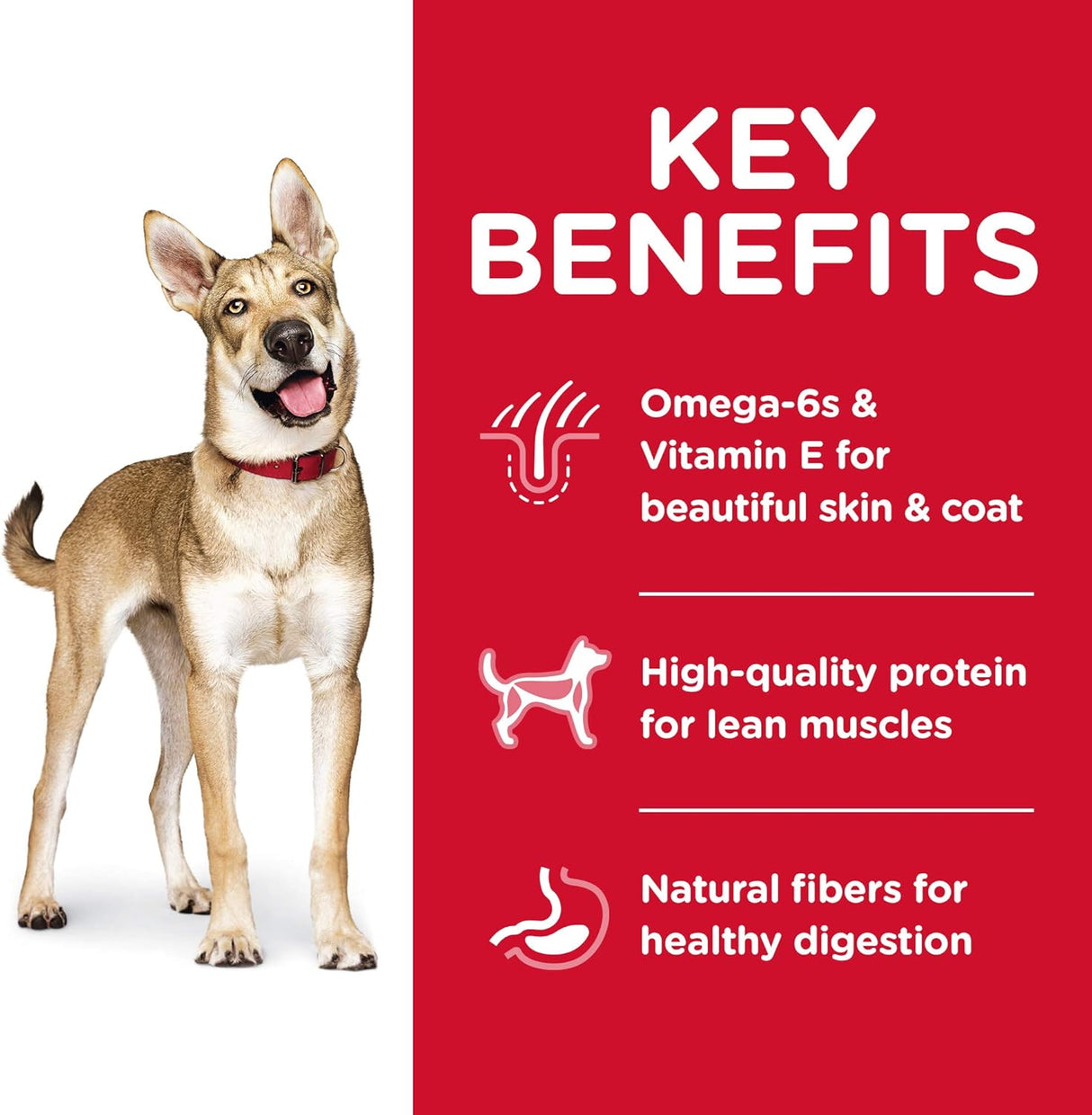 Alimento para Perros adultos balanceado saludable y seco