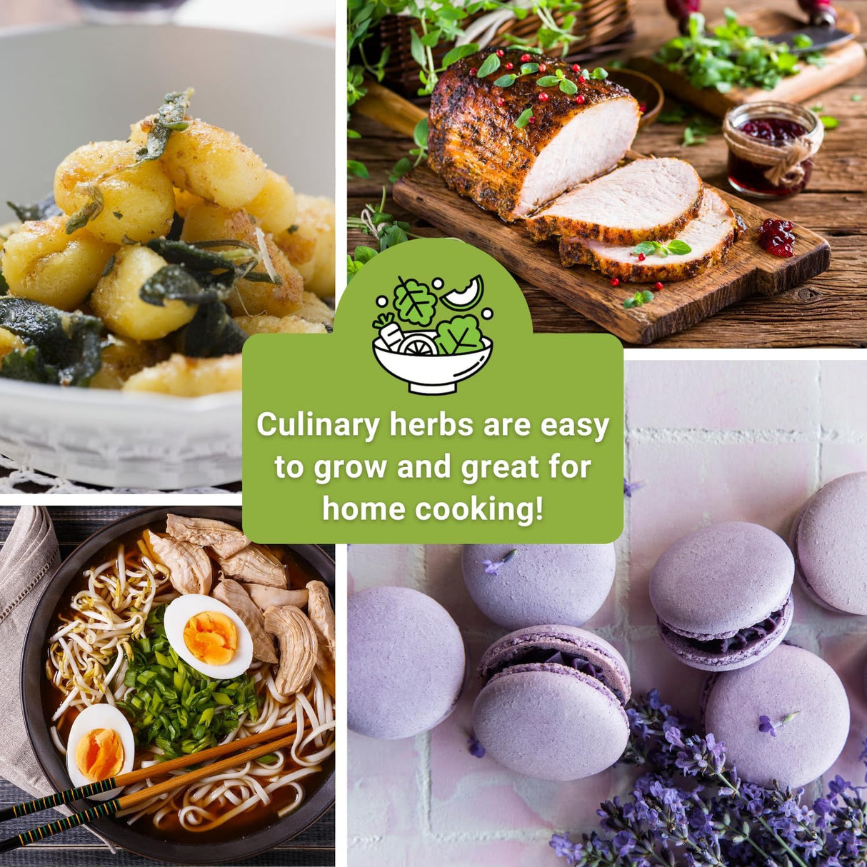 Colección de Semillas de Hierbas - Sow Right Seeds - No GMO