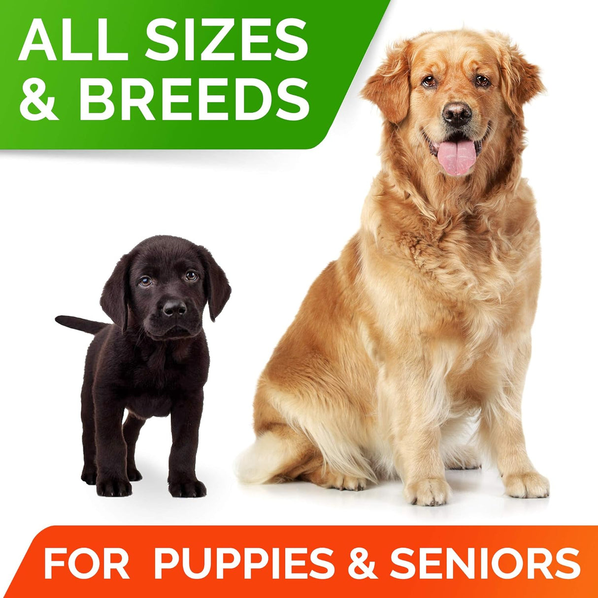 Vitaminas probióticas para perros para comedores exigentes