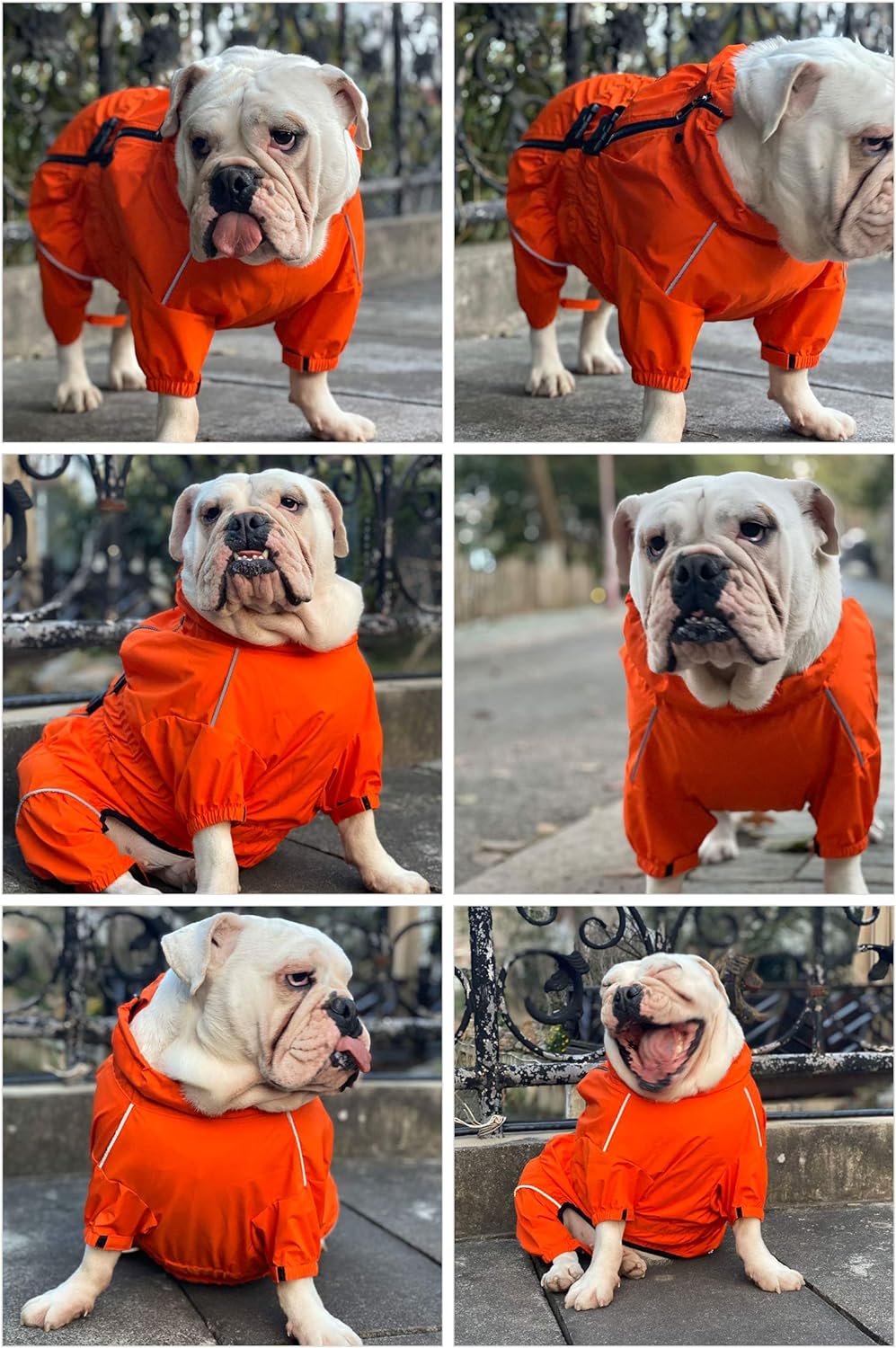 Chaqueta impermeable para perros, ligero, reflectante, XXL