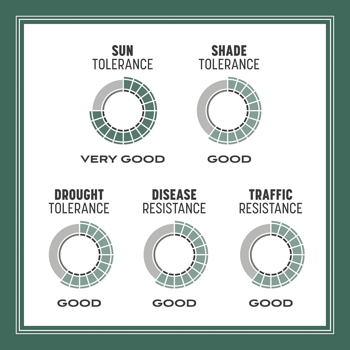 Semilla de Césped Tall Fescue Pennington 31, 20 lb, Resistente