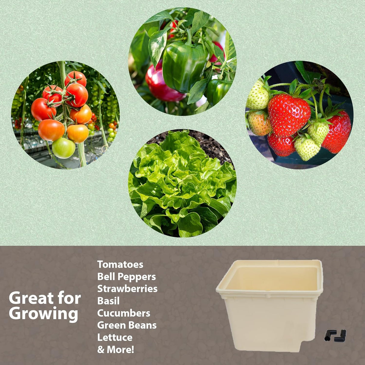 Paquete de 10 Cubos Holandeses - Bato Buckets 11 Litros - Siphon