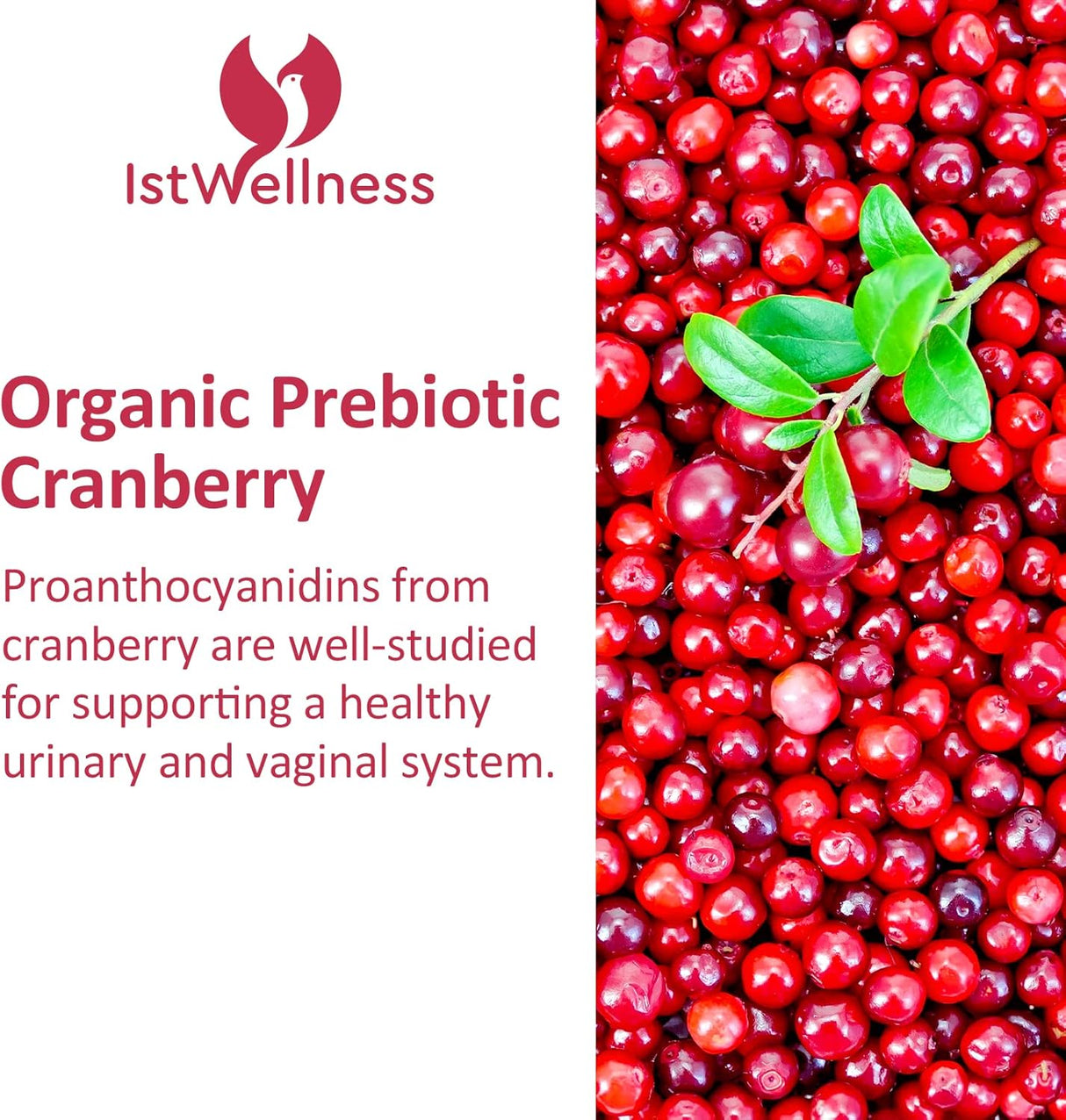 Suplementos Probióticos para mujeres 300 mil millones de UFC