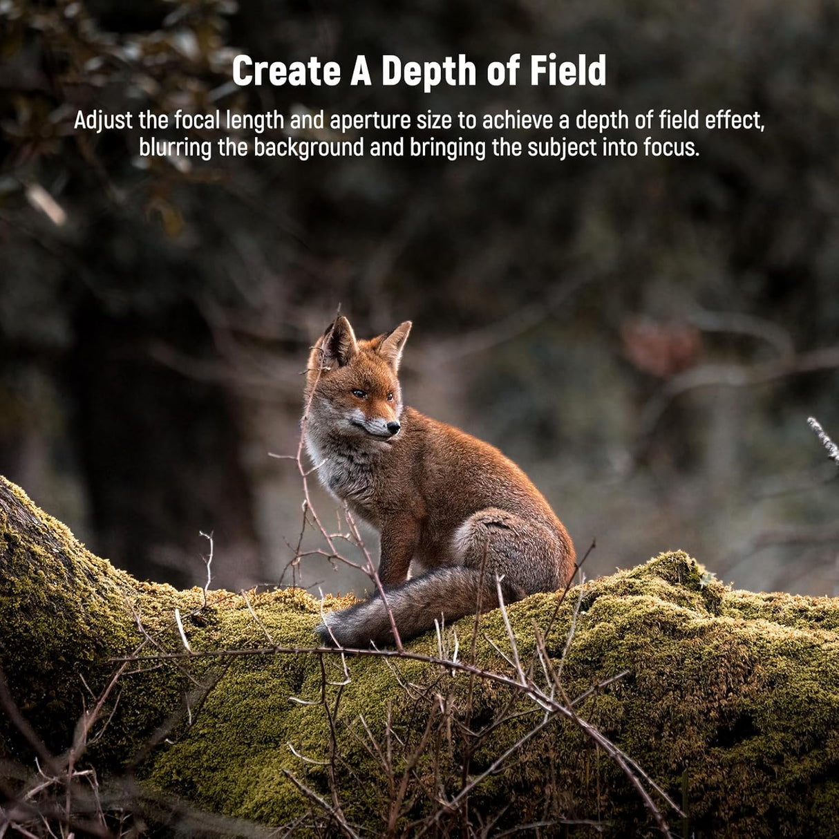 Lente Telefoto NEEWER 7X, 15 Elementos, Compatible con LS-36