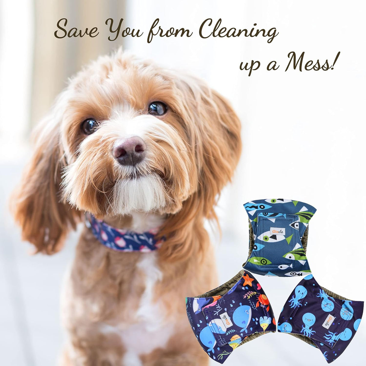 Grecle Pañales prémium para perros machos –Banda lavable