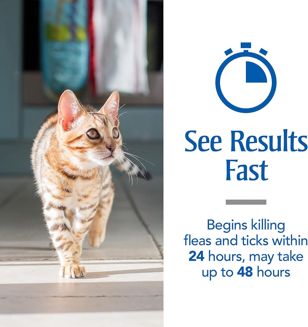 Tratamiento Antipulgas de pulgas y garrapatas para gatos