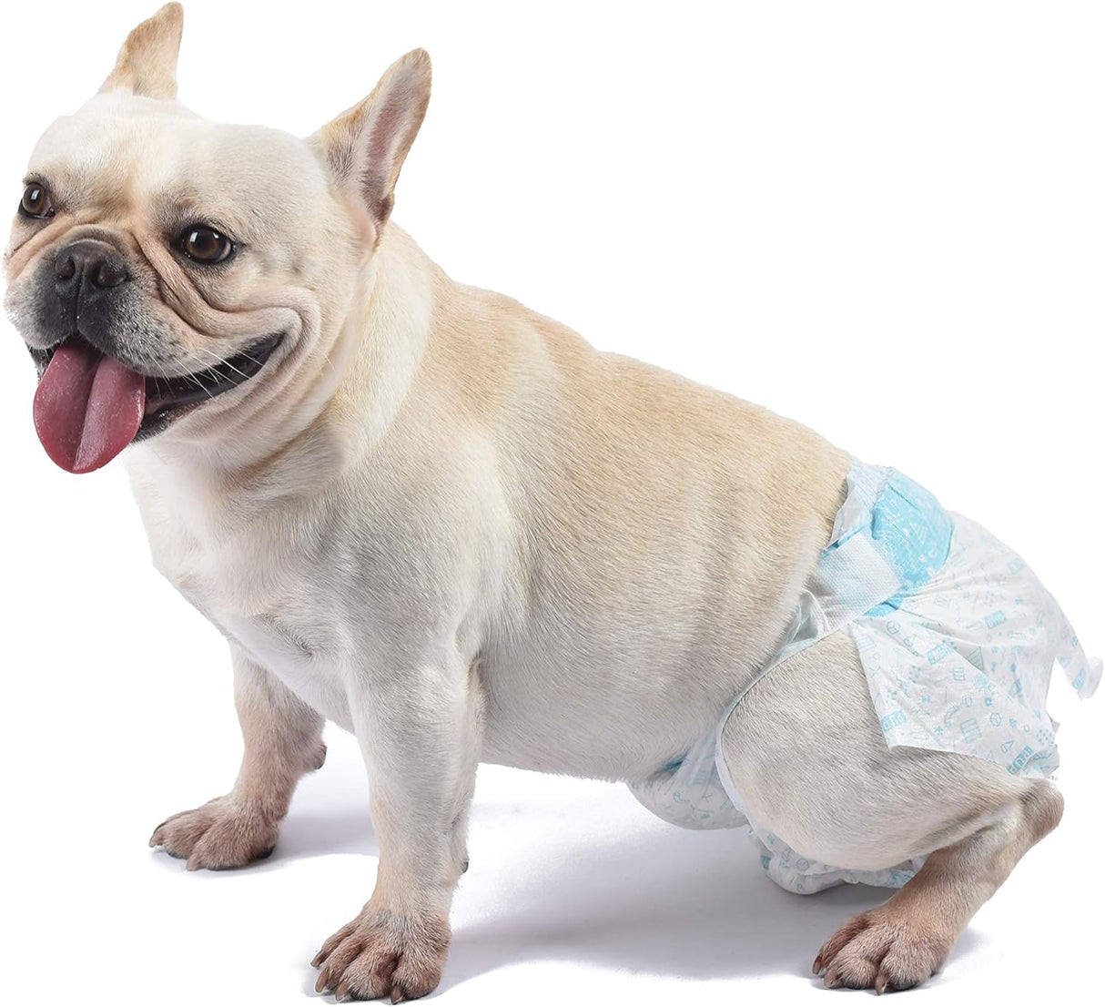 Wags & Wiggles - Pañales desechables para perros hembra y macho, superabsorbentes, disponibles en una variedad de tamaños