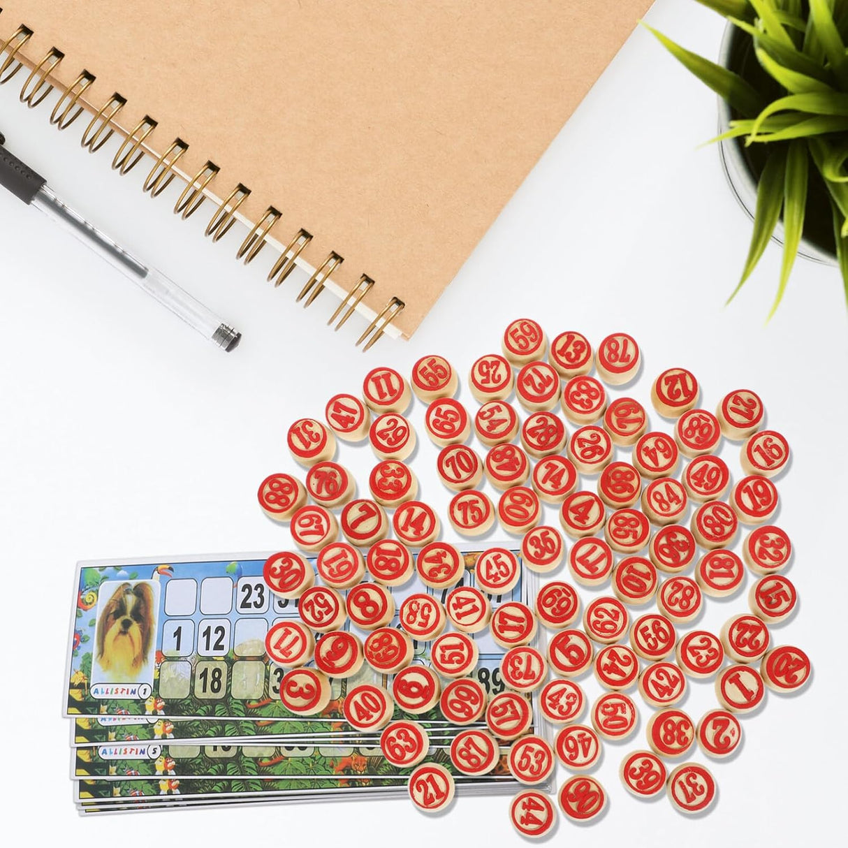 Juego de Bingo Ruso UPKOCH - Diversión para Adultos, Lotería