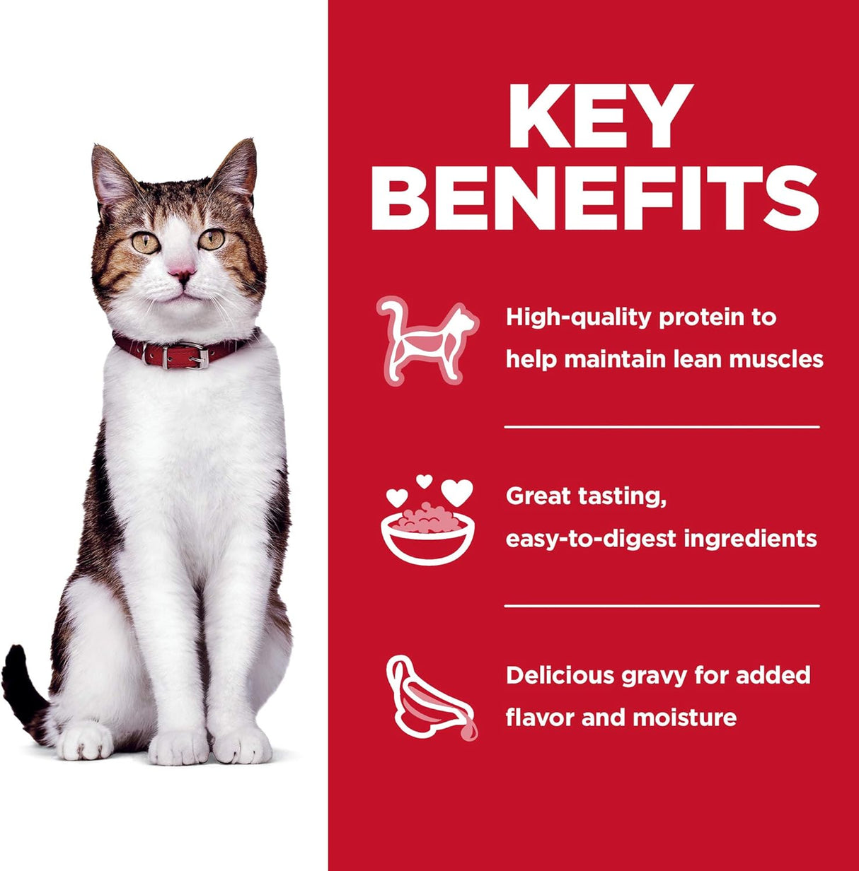 Alimento Bolsas de comida húmeda para gatos paquete variado