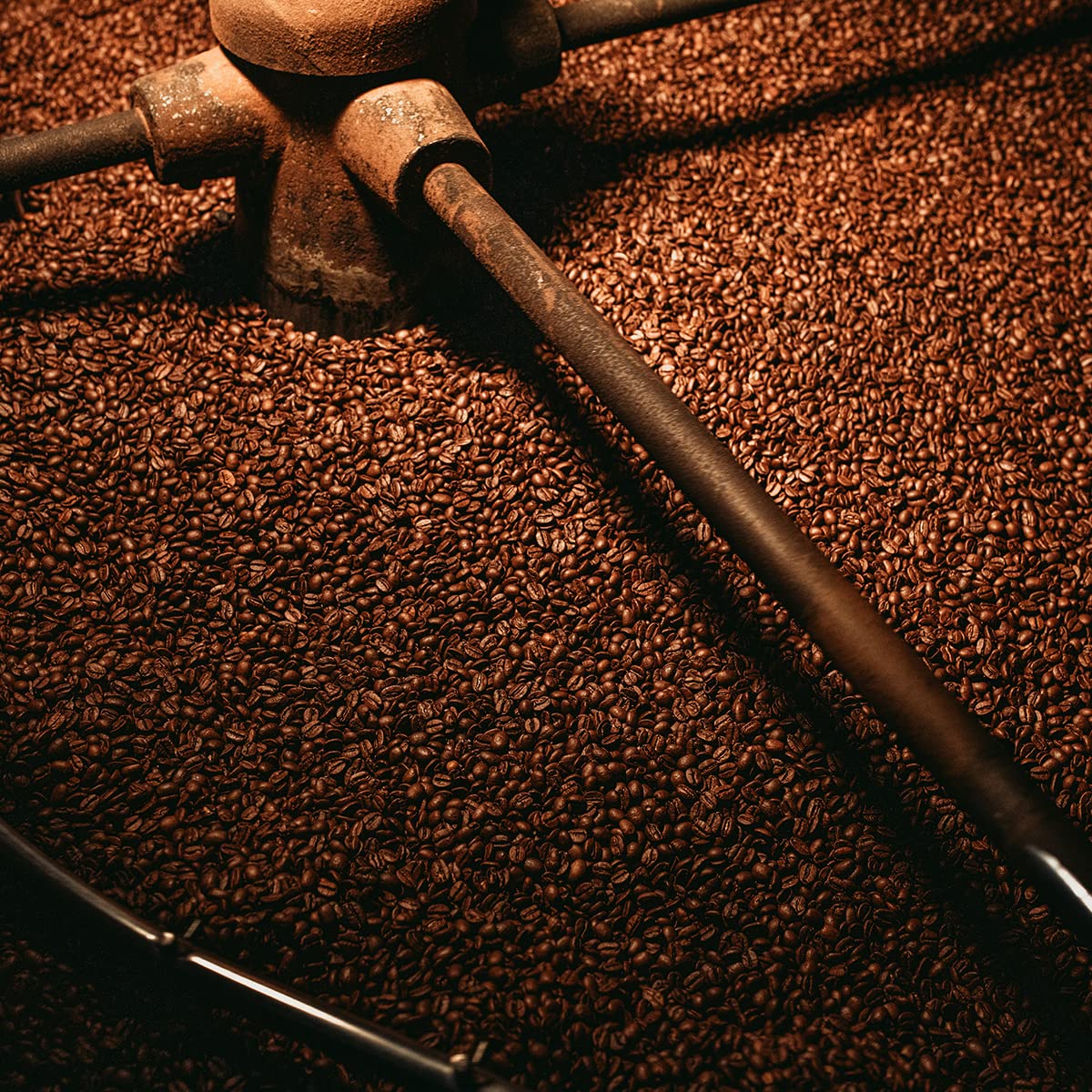 Café Filtrado DECAF Bristot, Tueste Medio, 8oz/226.8g