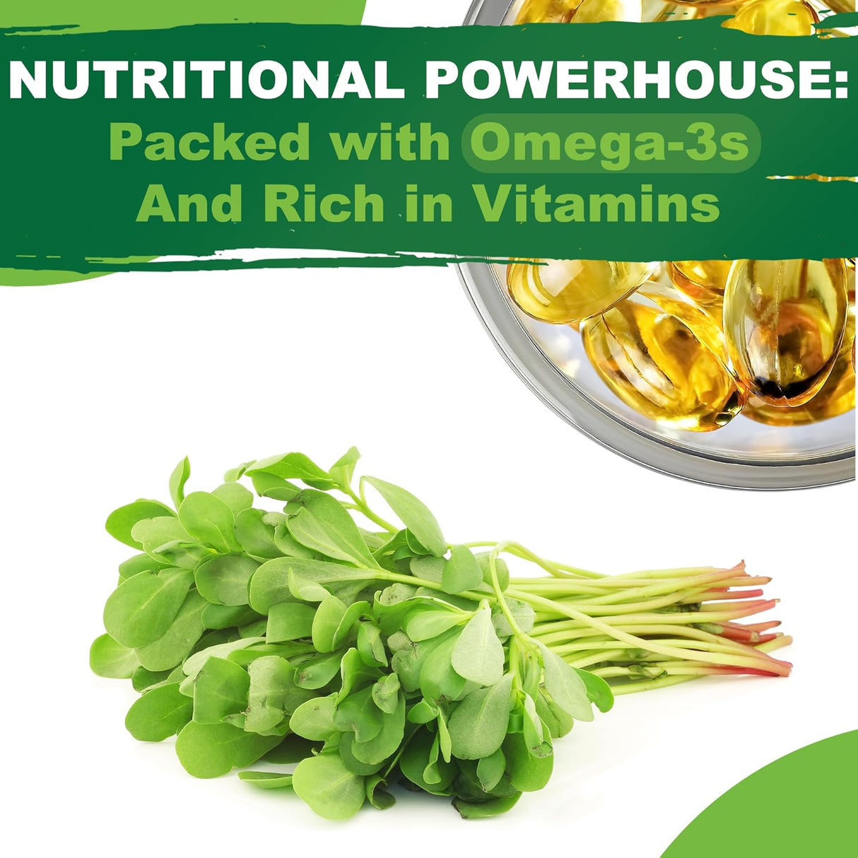 Semillas de Purslane - TKE Farms, 2000+ Semillas No GMO