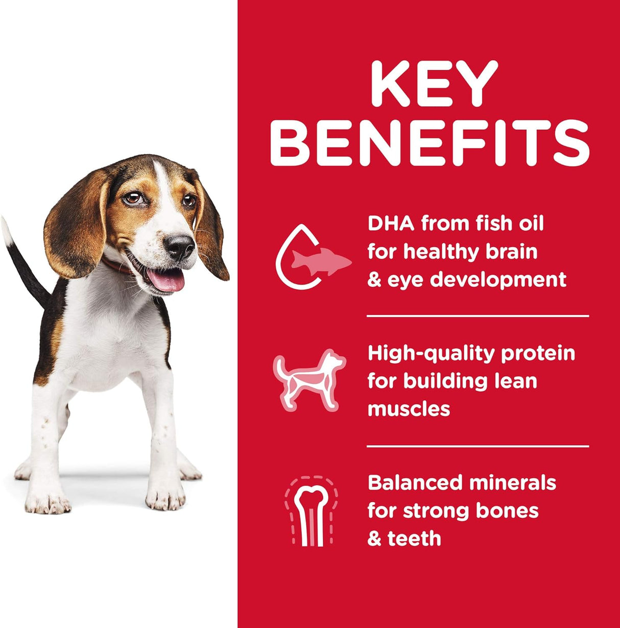 Alimento para Perros Seco Saludable para Cachorros