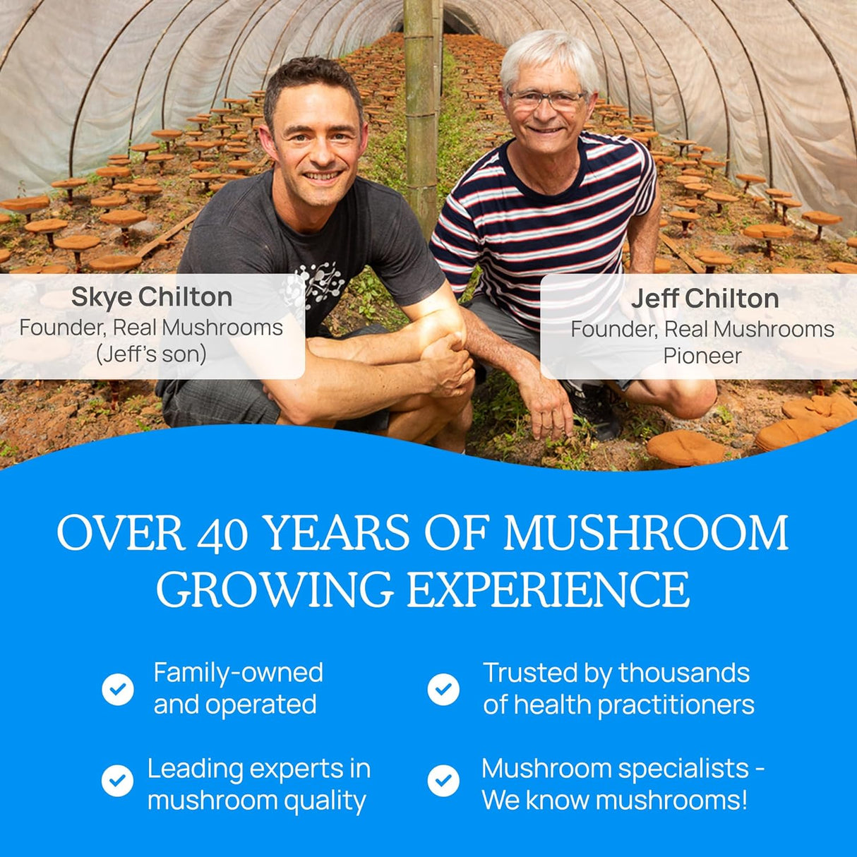 Suplemento en Polvo de Extracto de Hongos para Perros