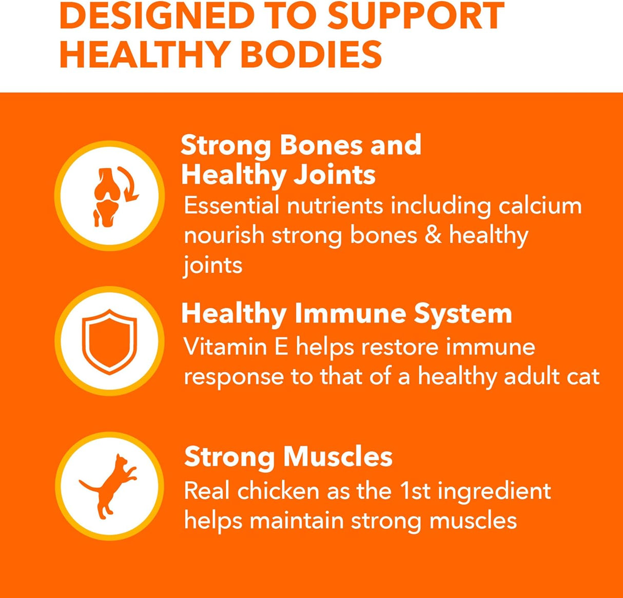 Alimento seco Iams Proactive, saludable para gatos ancianos