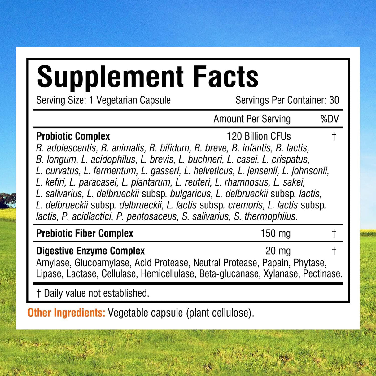 Probióticos con Prebióticos y Enzimas, Digestión e Inmunidad