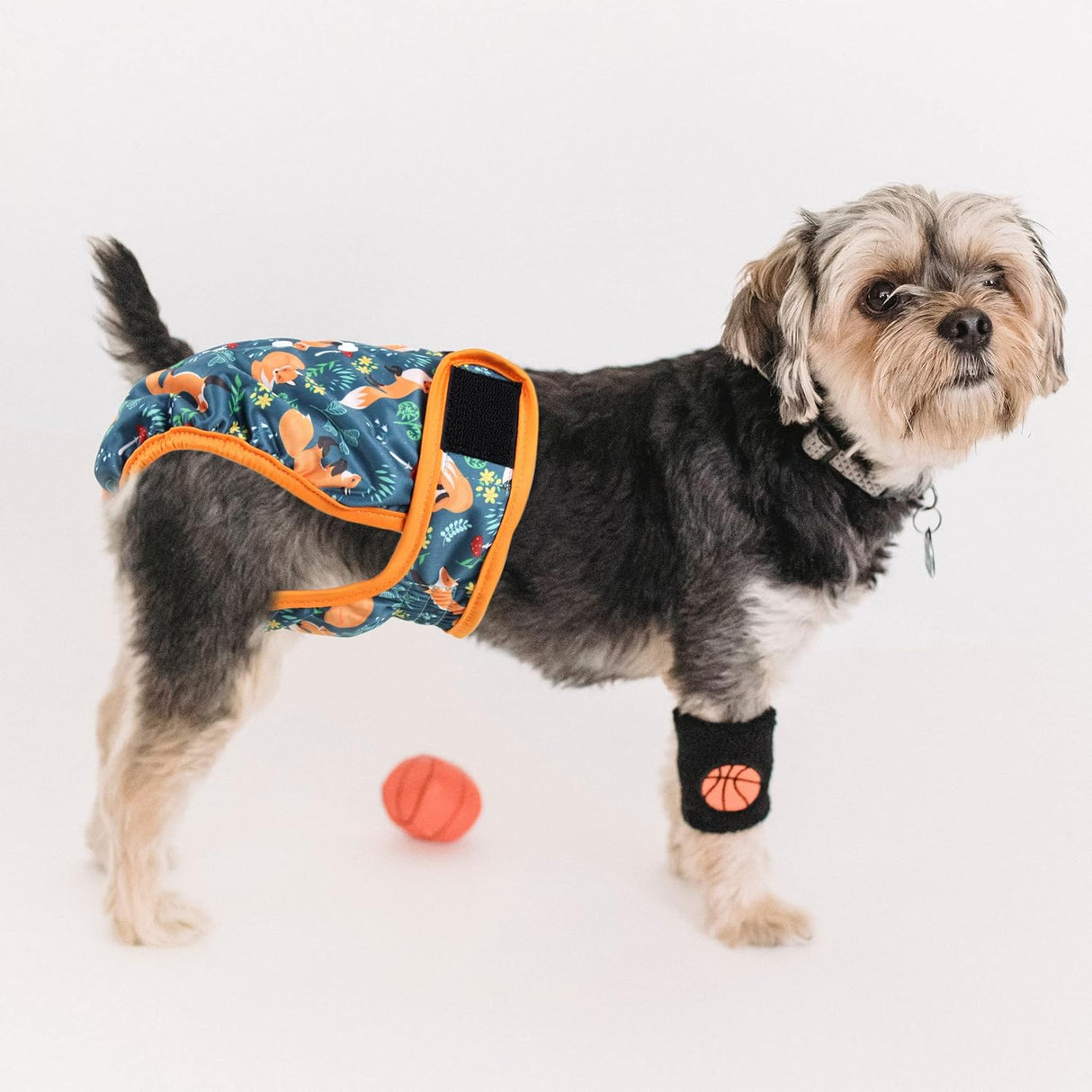 Fuz Bigaza Pañales lavables para perras período de celo