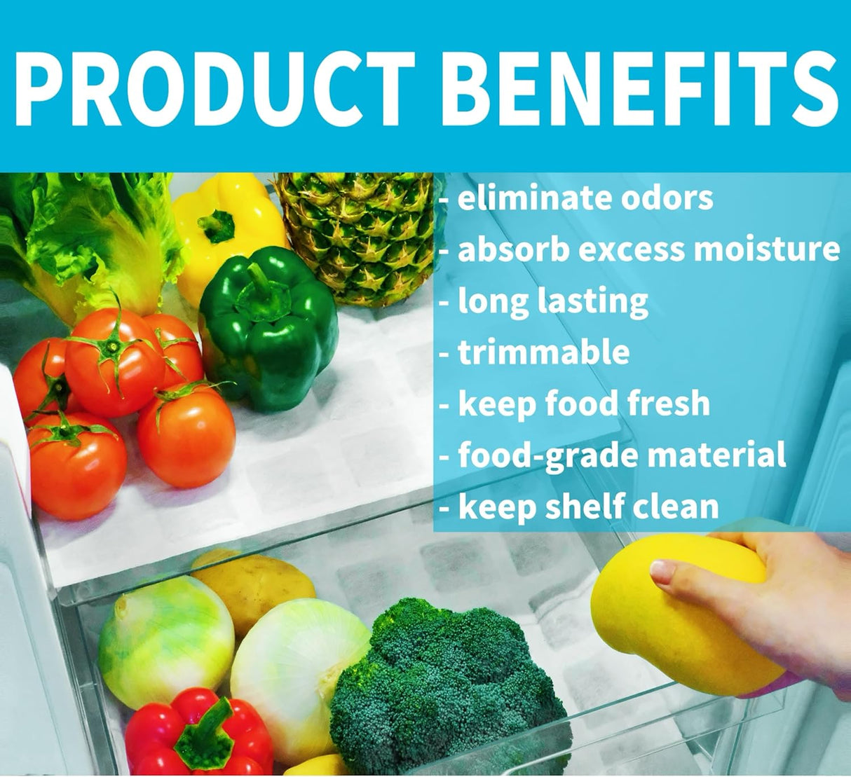 Desodorizador Refrigerador 2 Pack, Absorbe Olores y Humedad