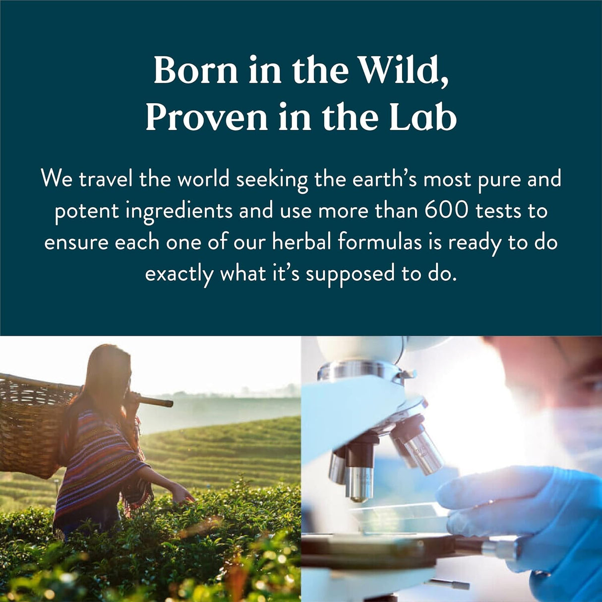 Cápsulas para el Enfoque y Circulación Cerebral, 90 Unidades