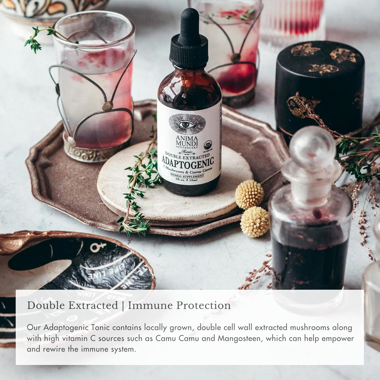 Suplemento adaptogénico de setas, Anima Mundi, gotas de 2oz