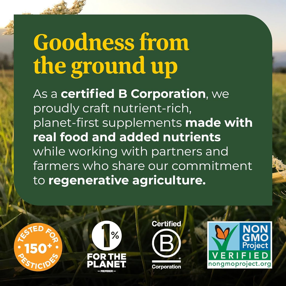 Suplemento MegaFood Iron Energy Gummies hierro vegano