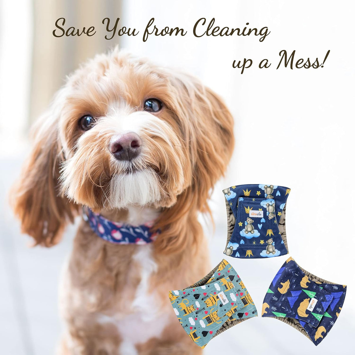 Pañales prémium para perros machos, pañales de alta absorción (oso, S)