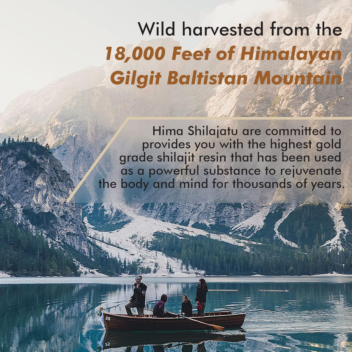 Suplementos Alimenticios on ácido fúlvico y complejo