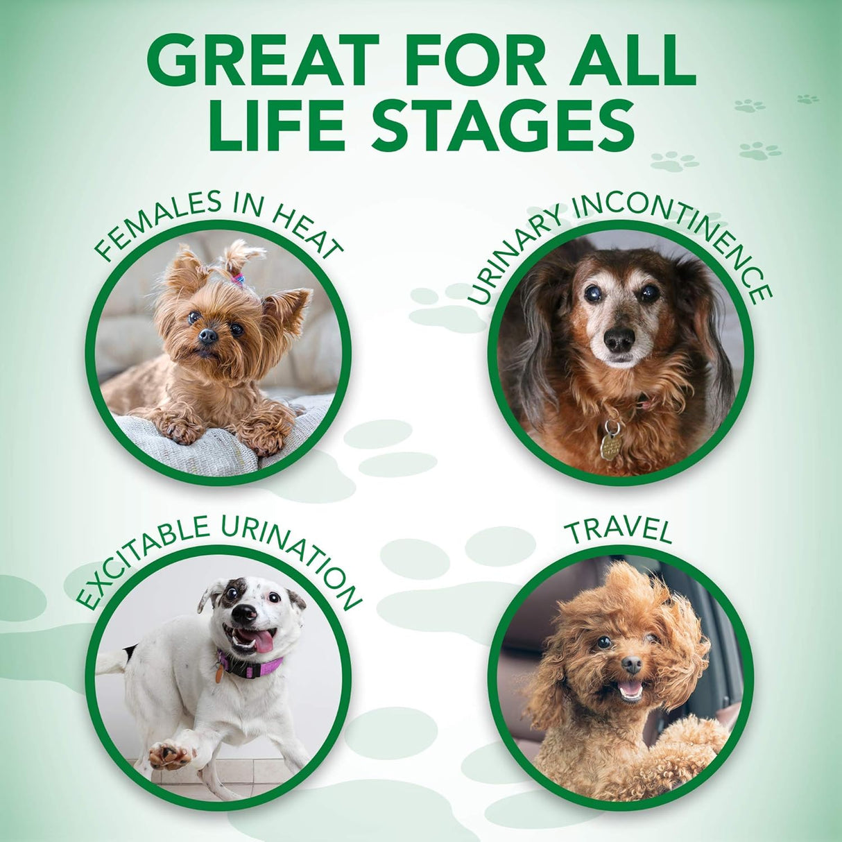 Vet's Best Comfort Fit - Pañales absorbentes con ajuste