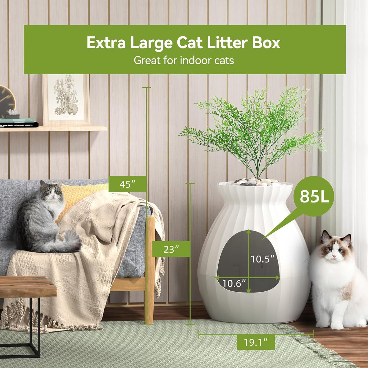 Caja de arena para plantas mejorada Petterm