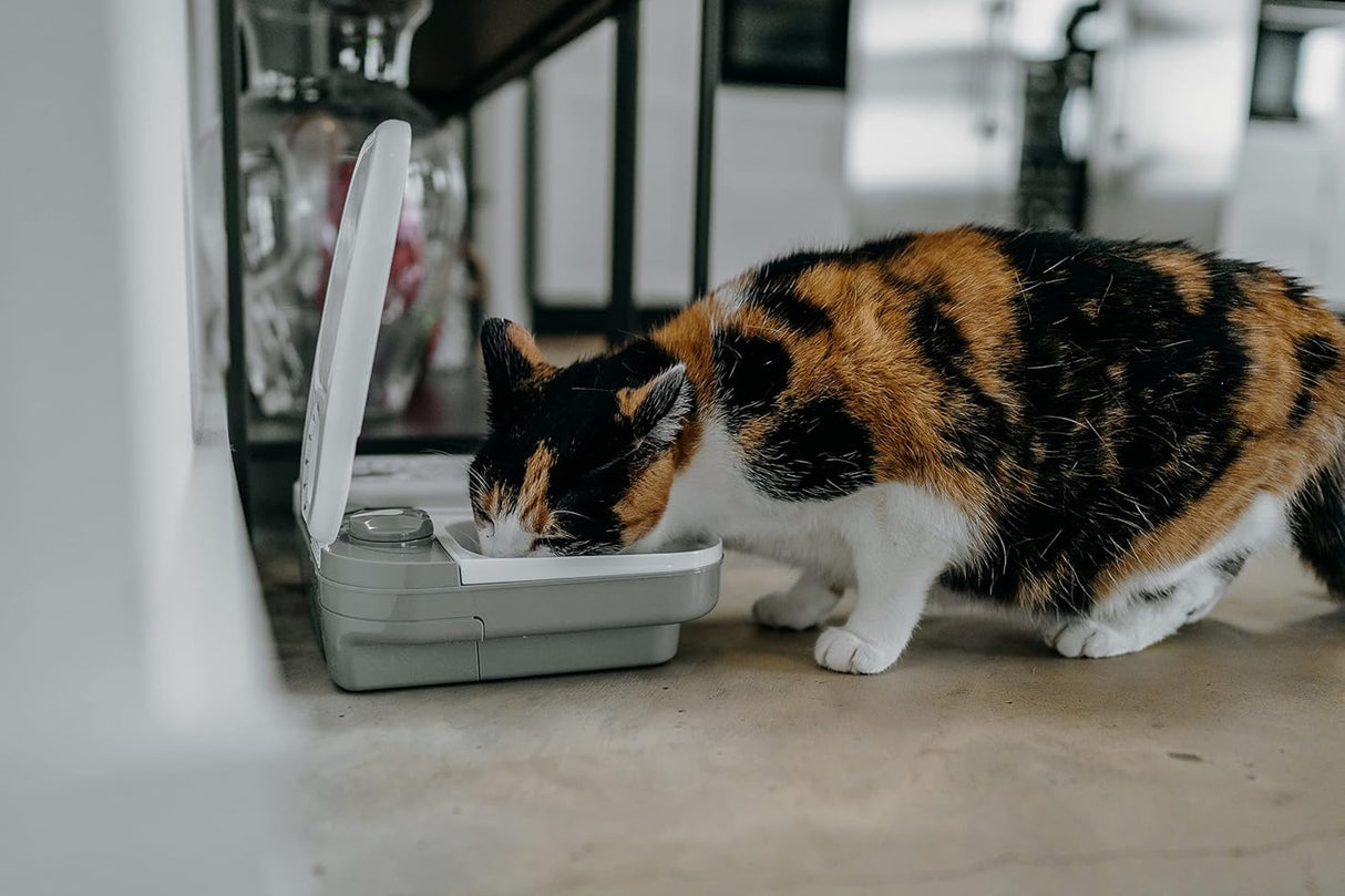 Comedero automático para mascotas de 2 Dos cuencos grandes