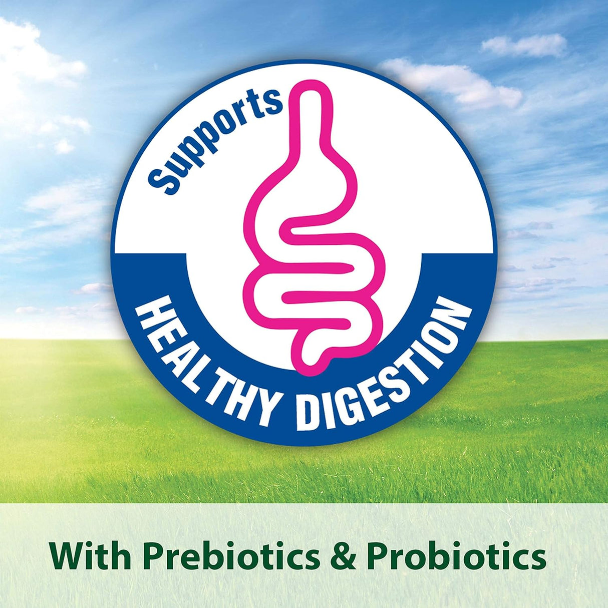 Comida saludable para pájaros Kaytee Forti Diet Pro