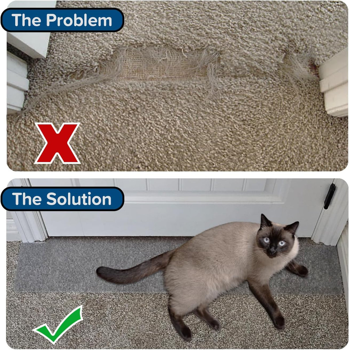 Parador para Arañazos de Gatos - Protector de Alfombras Patentado