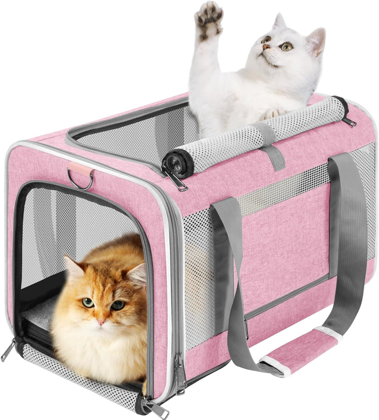Transportador para Gato Maine Coon y Perro Pequeño, Top Open