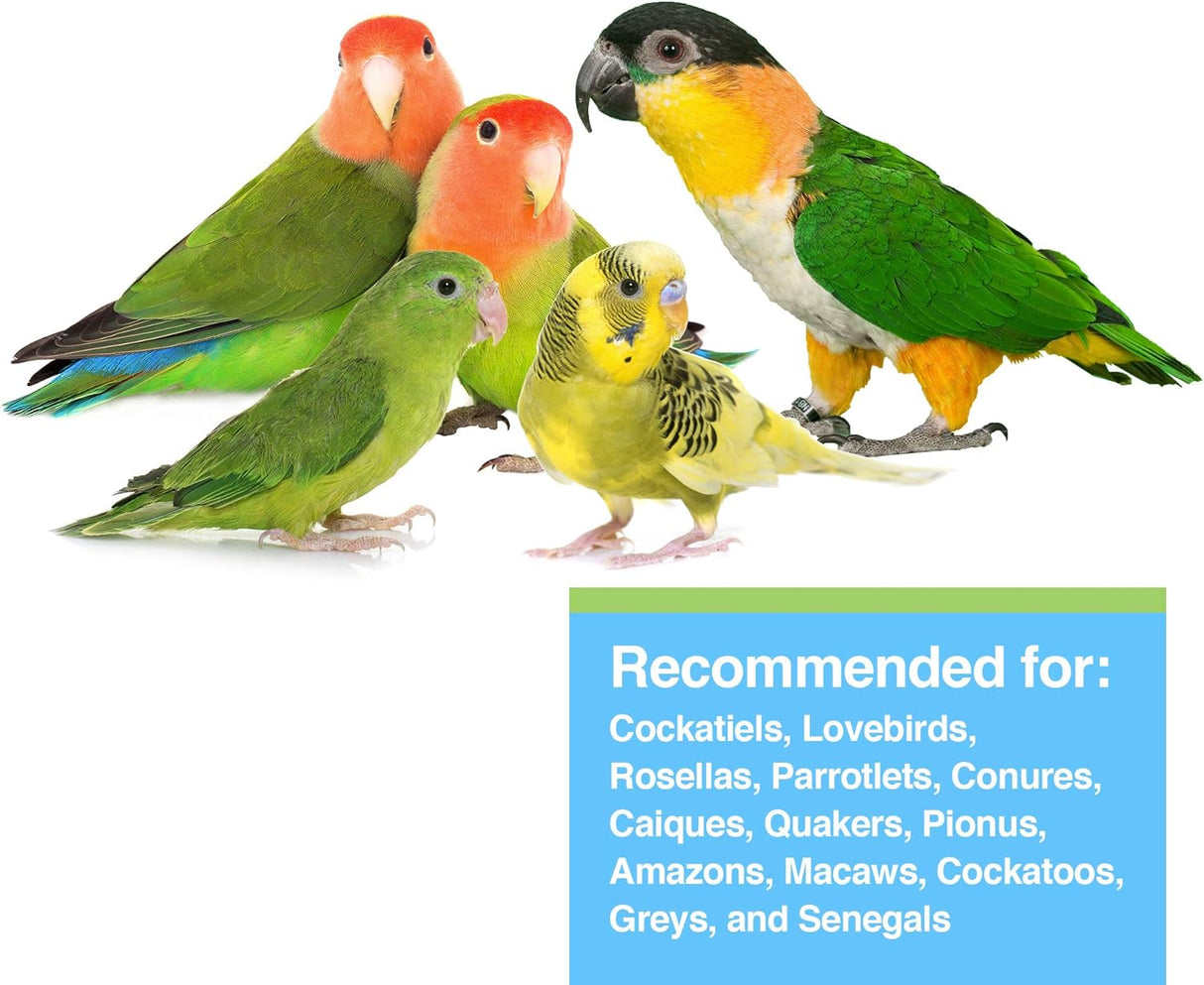 Hari Alimento para loros con maní y semillas de girasol