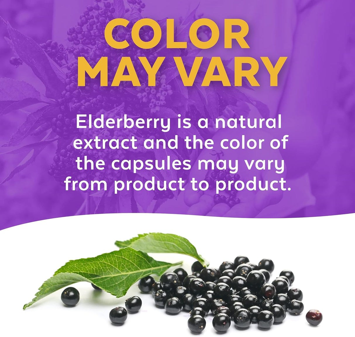 Suplementos Alimenticios bayas del saúco orgánico