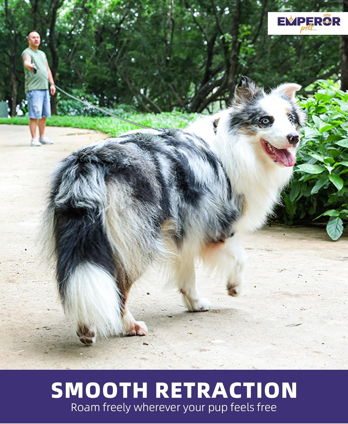 Correa Retráctil para Perros Grandes y Medianos - GY16