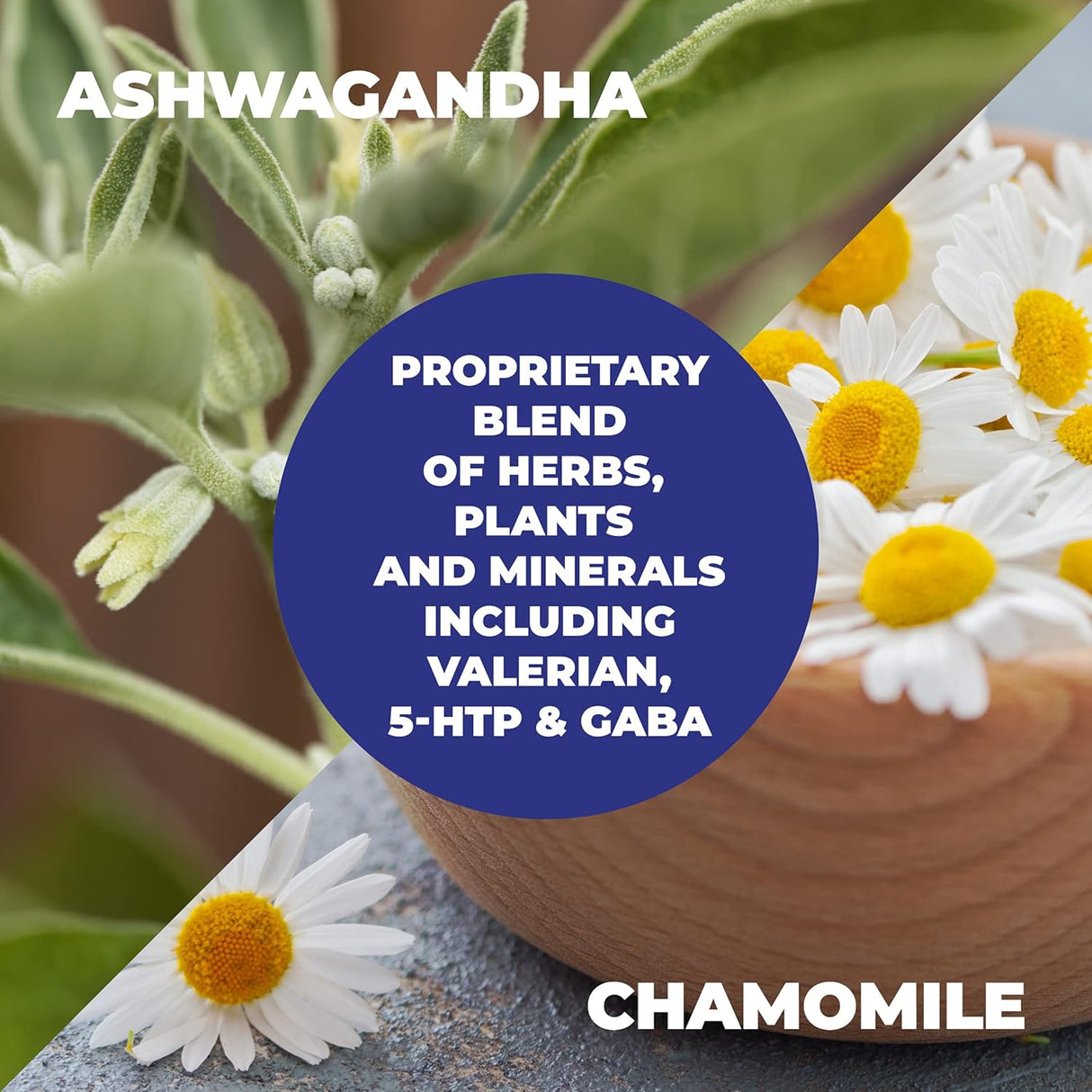 Suplemento Anti-Estrés con Mezcla de Hierbas y Vitaminas