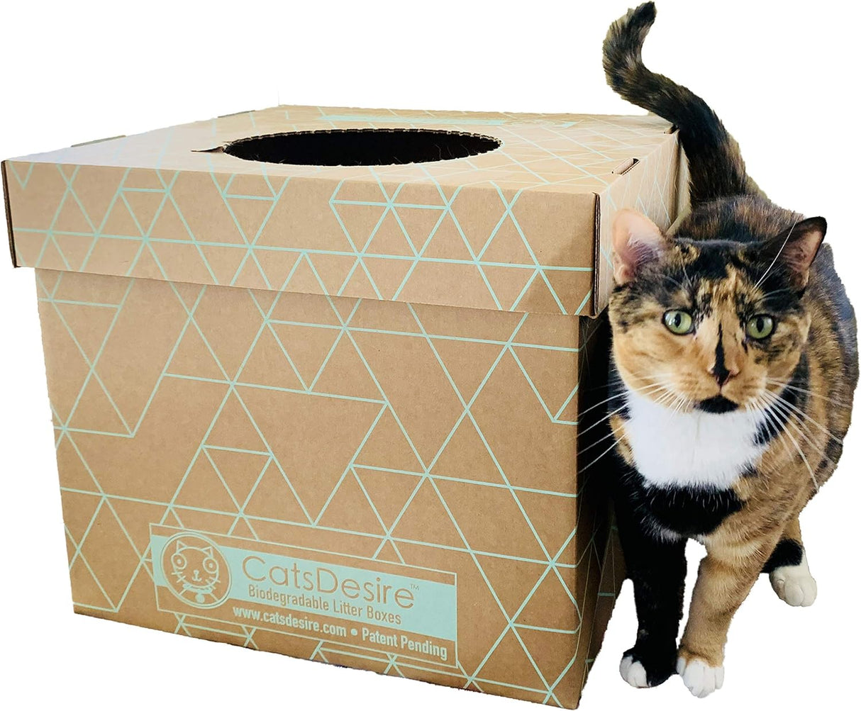 Caja de arena biodegradable de entrada superior o lateral