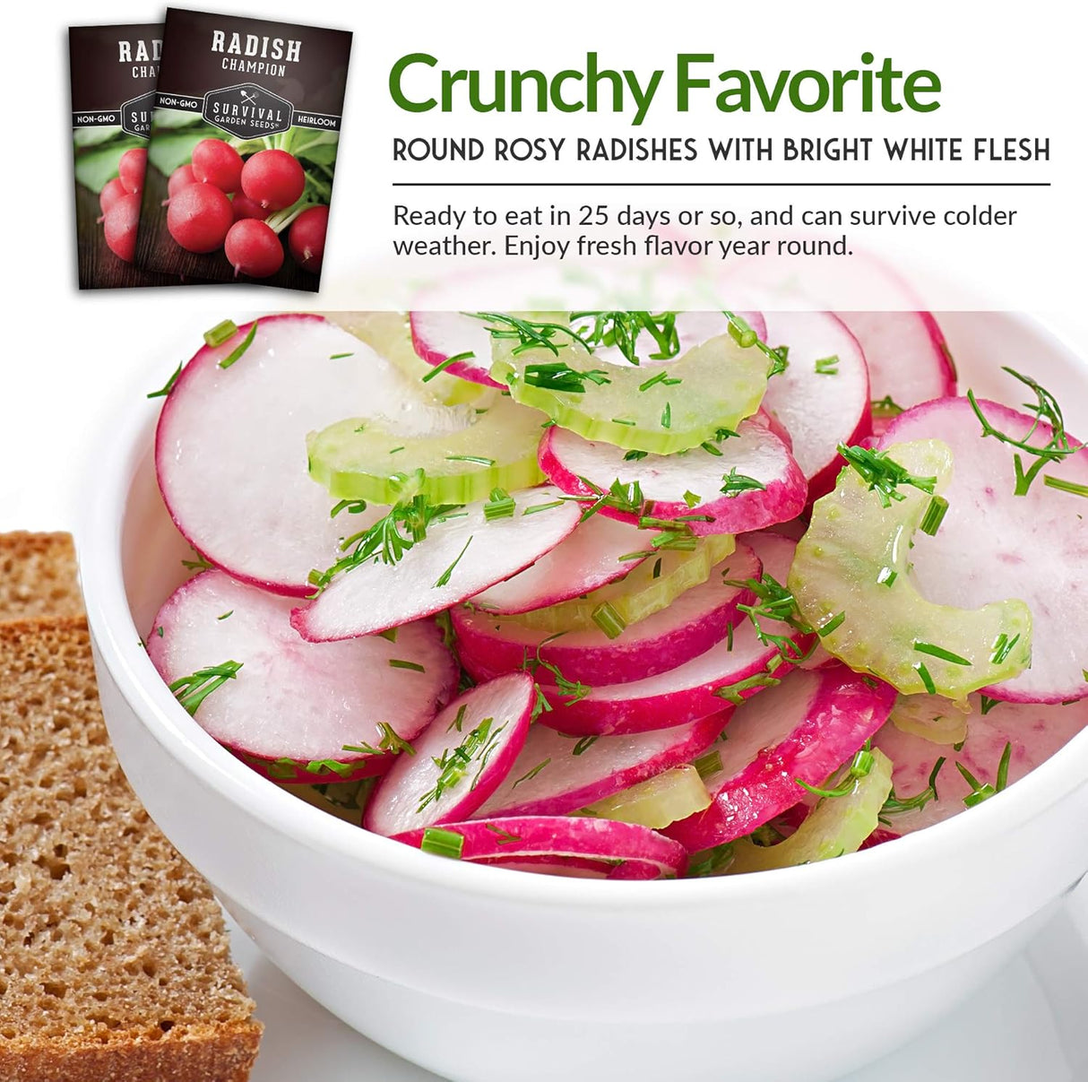 Semillas de Rábano Champion - Survival Garden Seeds - No-GMO