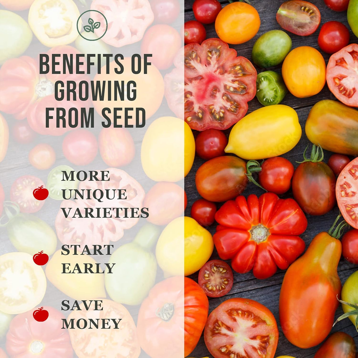 Mezcla de Semillas de Remolacha - Sow Right Seeds - No GMO