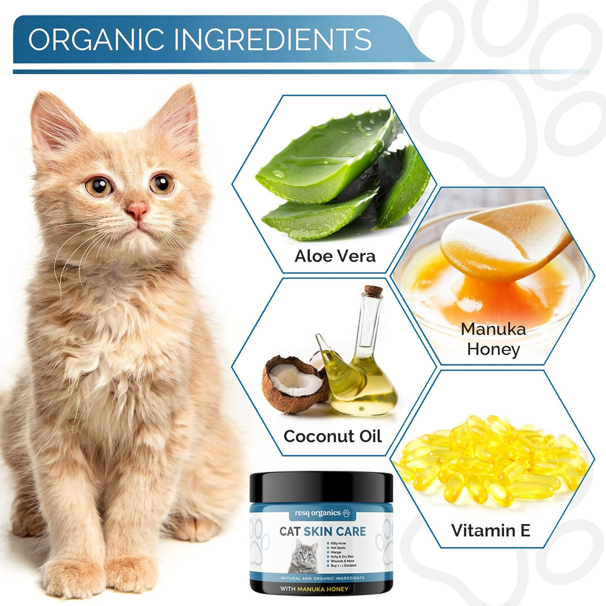 Tratamiento de puntos calientes para dermatitis de gatos