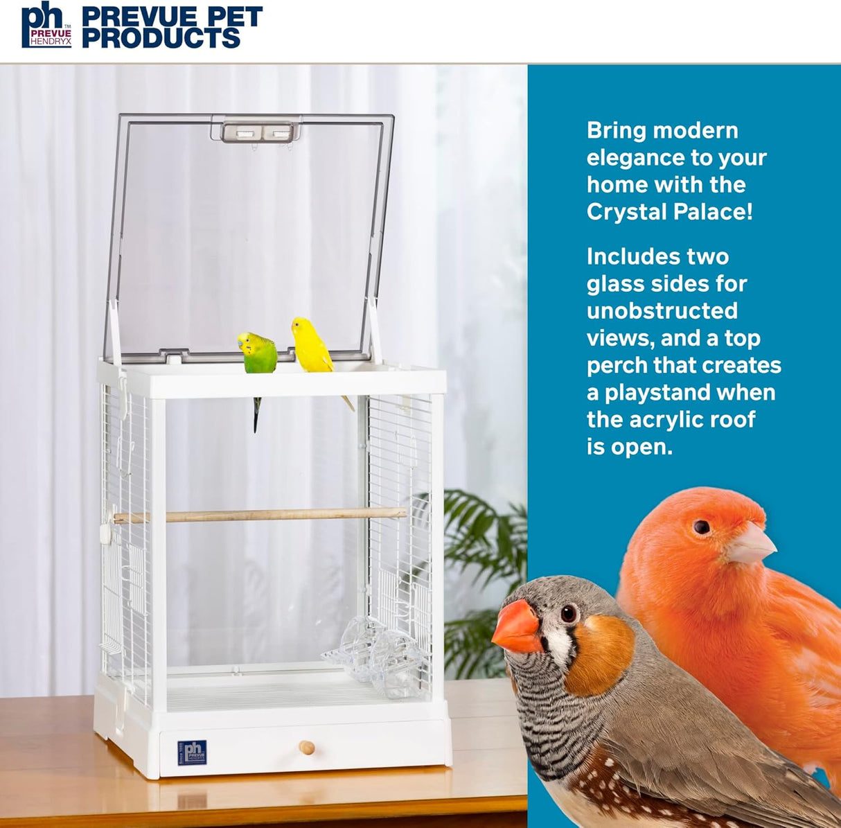 Jaula para pájaros de cristal para pájaros pequeños