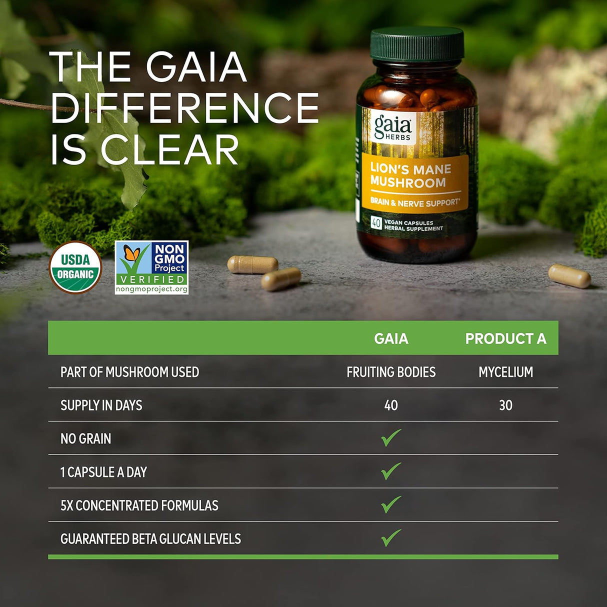 Suplementos Alimenticios Suplemento de apoyo cerebral