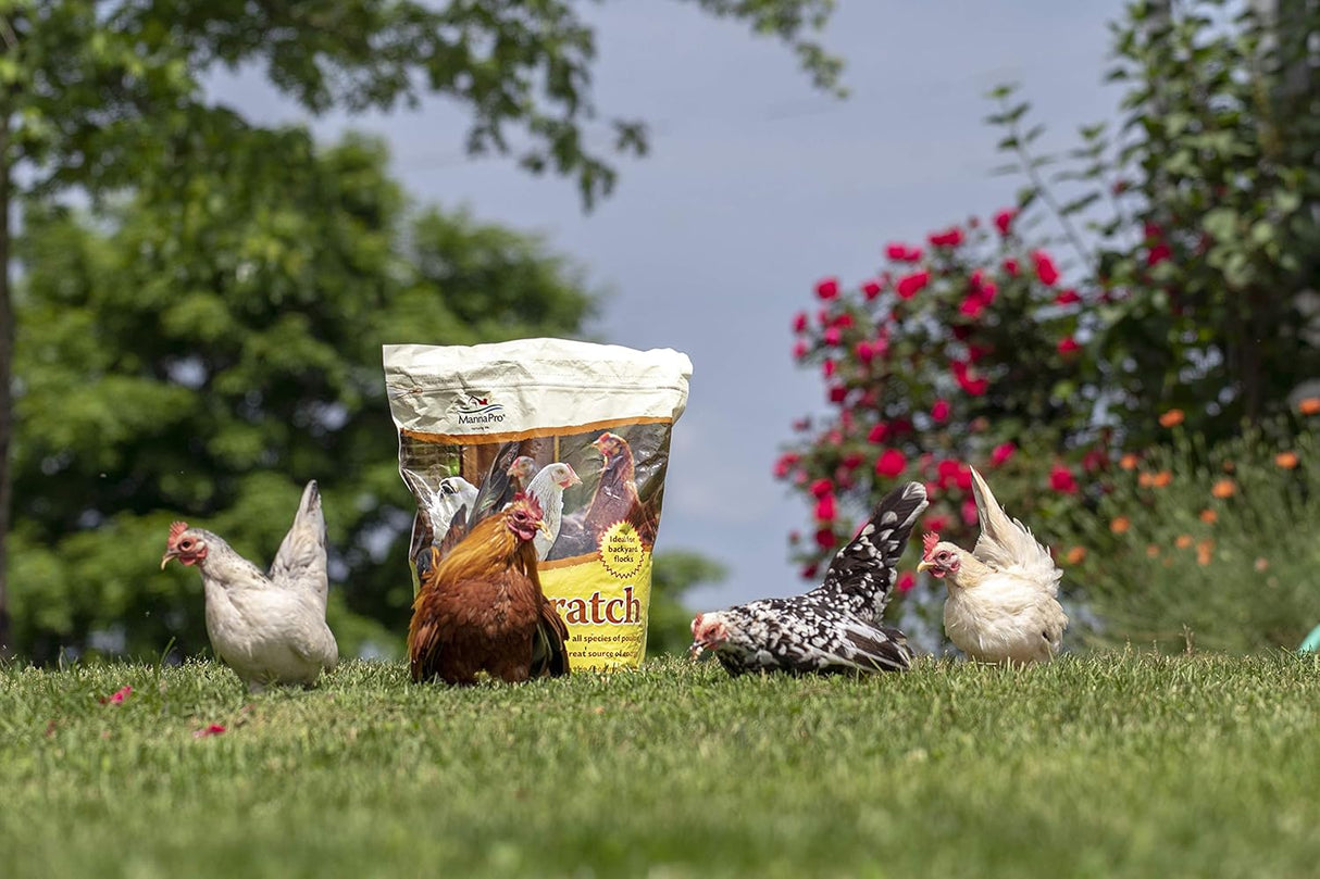 Golosina de pollo rica en nutrientes de 10 libras